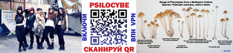 где купить наркотик  Зерноград  Галлюциногенные грибы ЛСД 